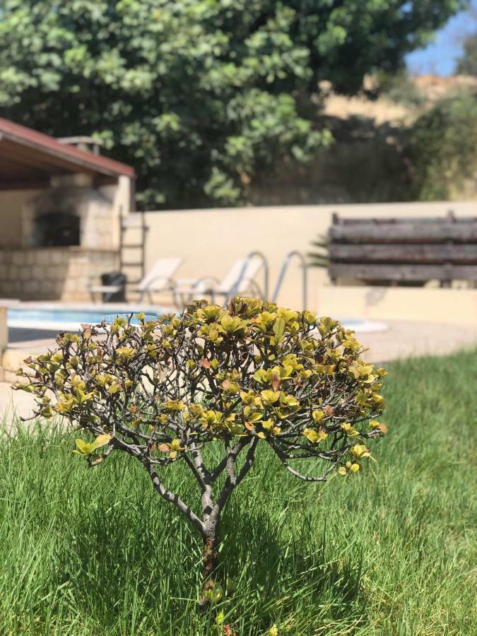 Afroditi House Stroumbi Экстерьер фото